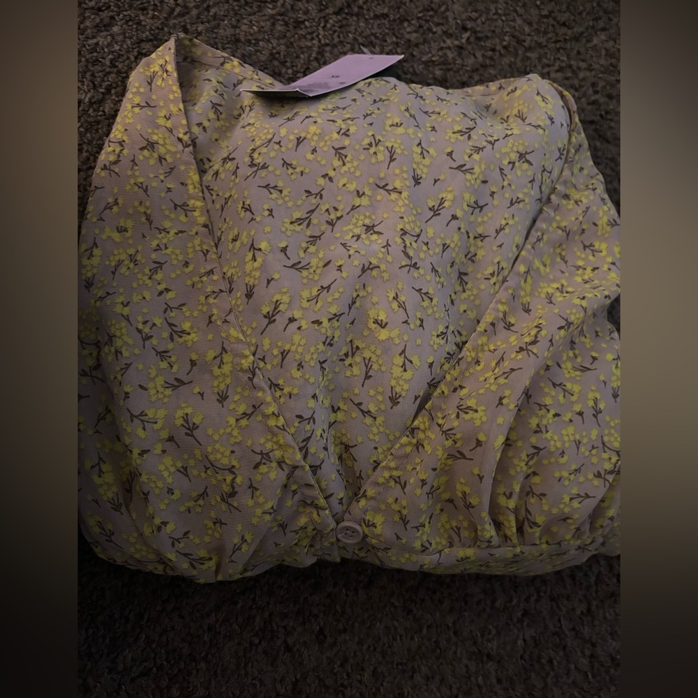 Wild Fable Sheer Yellow Floral Beige Dress

Item 29